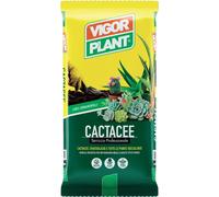 VIGORPLANT Terriccio per La Coltivazione delle Piante Grasse Confezione da 5 LT