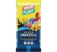 Terriccio Cinquestelle 10 litri Vigorplant