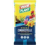 Terriccio Cinquestelle 45 litri Vigorplant
