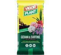 Terriccio Gerani & Surfinie 20 litri Vigorplant