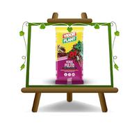 Terriccio Linea decorazione Verde Pulito Corteccia di Pino Marittimo Vigorplant - Confezione da - 60 L