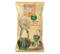 Terriccio per piante grasse e cactus Dr.soil 1 l