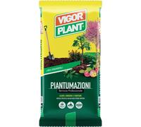 Terriccio Piantumazioni 70 litri Vigorplant