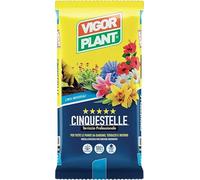 Terriccio Professionale CINQUESTELLE 20L | Substrato Universale per Piante da Giardino | Terrazzo e Interno | Ricco di Nutrienti | Soffice e Drenante | Ideale per Fiori | Ortaggi e Piante Verdi