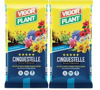 Terriccio Professionale CINQUESTELLE 40L (2 Confezioni da 20L ) - Substrato