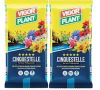Terriccio Professionale CINQUESTELLE 40L (2 Confezioni da 20L) | Substrato Universale per Piante da Giardino | Terrazzo e Interno | Ricco di Nutrienti Completo | Ideale per Fiori, Ortaggi e Piante