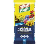 Terriccio Professionale CINQUESTELLE 45L | Substrato Universale per Piante da Giardino | Terrazzo e Interno | Ricco di Nutrienti | Soffice e Drenante | Ideale per Fiori | Ortaggi e Piante Verdi