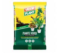 Terriccio Professionale Piante Verdi 10 L | Substrato per Rinvaso di Piante Tropicali da Appartamento | Fertile con Pomice, Torba, Fibra di Cocco, Concime NPK e Microelementi