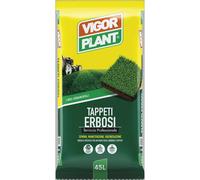 Terriccio Tappeti Erbosi 45 litri Vigorplant