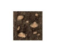 Terriccio Specifico per Cappero - Miscela Perfetta per Piantare e Rinvasare Piante di Cappero - Misto Torba e Tufo/Sabbia - 4L