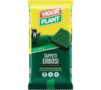 Terriccio Tappeti Erbosi 70 litri Vigorplant