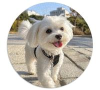 Terrier bianco degli Highland occidentali1000 Pezzi Rotonda Puzzle AnimaliPuzzle Classico Bel Regalo Per Amici Di Famiglia Edugattoivi Per Bambini Difficile1000 pezzi (67.5x67.5cm)