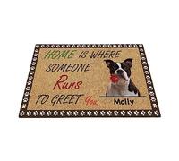 Terrier, Cane Divertente Personalizzato Con Rosa, Regalo Terrier La Casa È Dove Qualcuno Corre A Salutarti Tappetino Da Bagno Divertenti Tappeto Ingresso Casa Resistente Tappeti D'Ingresso 40X60Cm