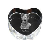 Terrier di seta cuore di cristallo con cane Art-Dog
