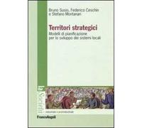 Territori strategici. Modelli di pianificazione per lo sviluppo dei sistemi locali
