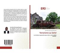 Terrorisme au Sahel: La meilleure approche pour lutter contre BOKO HARAM