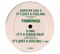 Terrorize - It's just a feeling [VINYL]