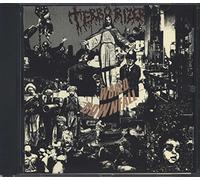 Terrorizer - World Downfall
