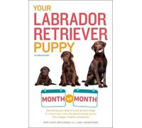 Terry Albert Debra Eldredge Don Your Labrador Retriever Puppy Month (Tascabile)