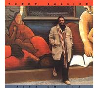 Terry Callier - Fire on Ice
