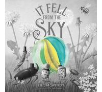 Terry Fan Eric Fan It Fell from the Sky (Copertina rigida)
