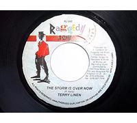 TERRY LINEN The Storm is Over 7" vinyl