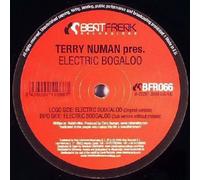 Terry Numan - Electric Boogaloo