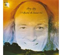 Terry Riley A Rainbow in Curved Air (Vinyl LP)