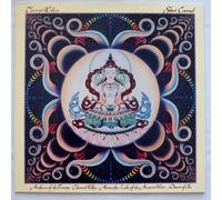 TERRY RILEY - TERRY RILEY in c