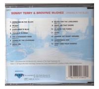 Terry, Sonny & Brownie Mc - DRINKING IN THE BLUES