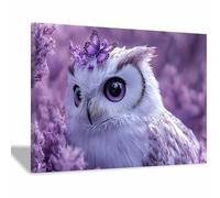 TERUEA Quadro su tela Immagine di arte della parete Animali Design Civetta Farfalla Viola Campo Lavanda, avventura, acquerello, dipinti per camera(Lavanda)-40x60cm1 Incorniciato