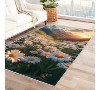 TERUEA Tappeto 3D Tappeto Camera da Letto - Antiscivolo Lavabile scende dal cielo, uno scenario magnifico, Tappeti per sala giochi Sala giochi Casa fatiscente Soggiorno (Bianco)-180x240cm