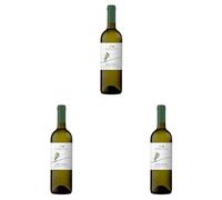 Teruzzi Isola Bianca - 750 ml (Confezione da 3)