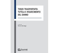 Terzo Trasportato: Tutela E Risarcimento Del Danno