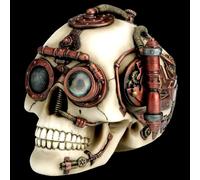 Teschio BRIGHT - Cofanetto Steampunk VERONESE (WU76568AA)