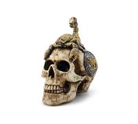 Teschio Decorativo con Scorpione