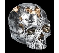 Teschio Figura - Fracture Piccolo - Fantasy Gothic Decorazione Teschio