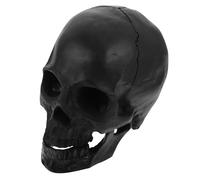 Teschio Realistico Halloween Addobbi Cranio Umano Decorazioni Di