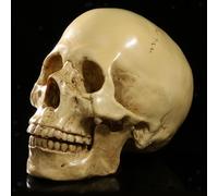 Teschio umano di design antico 1: 1 Replica realistica gotica per decorazioni di