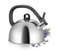 Tescoma 677466 Bollitore acciaio inox per fornello e piano induzione, 2 l