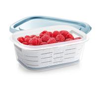 Tescoma 896940 Contenitore freezer con cestino antighiaccio 4FOOD 1.0 l
