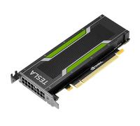 Tesla P4 - Modulo 8 GB ATX