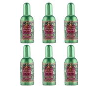 Tesori d´Oriente Forest Ritual 100 ml eau de parfum unisex