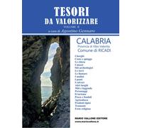 Tesori da valorizzare. Calabria, provincia di Vibo Valentia. Vol.