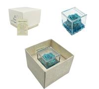 Tesori Nascosti Rosa Stabilizzata Verde Acqua Profumata in Cubo Trasparente - Confezione Regalo Elegante con Certificato - Durata 5-7 anni - Made in Italy - 5x5 cm - Rosa con Petali in gel