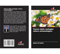 Tesoro della zoologia: valore entomologico