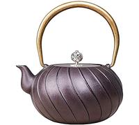 Tesot in ghisa in stile giapponese con un bollitore da tè in ghisa da 1200 ml con supporto per altura e teiera antiruggine in acciaio inossidabile per la stufa in ceramica elettrica