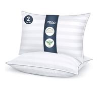 TESQ Cuscino 50 x 70 cm Set di 2 cuscini comfort morbidi, qualità hotel di lusso, traspirante e ipoallergenico, ideale per dormienti sul lato, sulla schiena e sulla pancia, lavabile