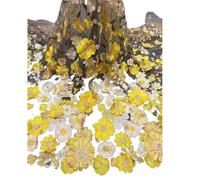 Tessuti in tulle ricamato con pizzo, Wedding Dress Fabric 3D Applique Embroidered Mesh Polyester Multicolor For DIY(Apricot Mesh Yellow)