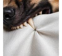 Tessuto Antitaglio UHMWPE Alta Resistenza a Lame Coltelli Cutter e morso cane